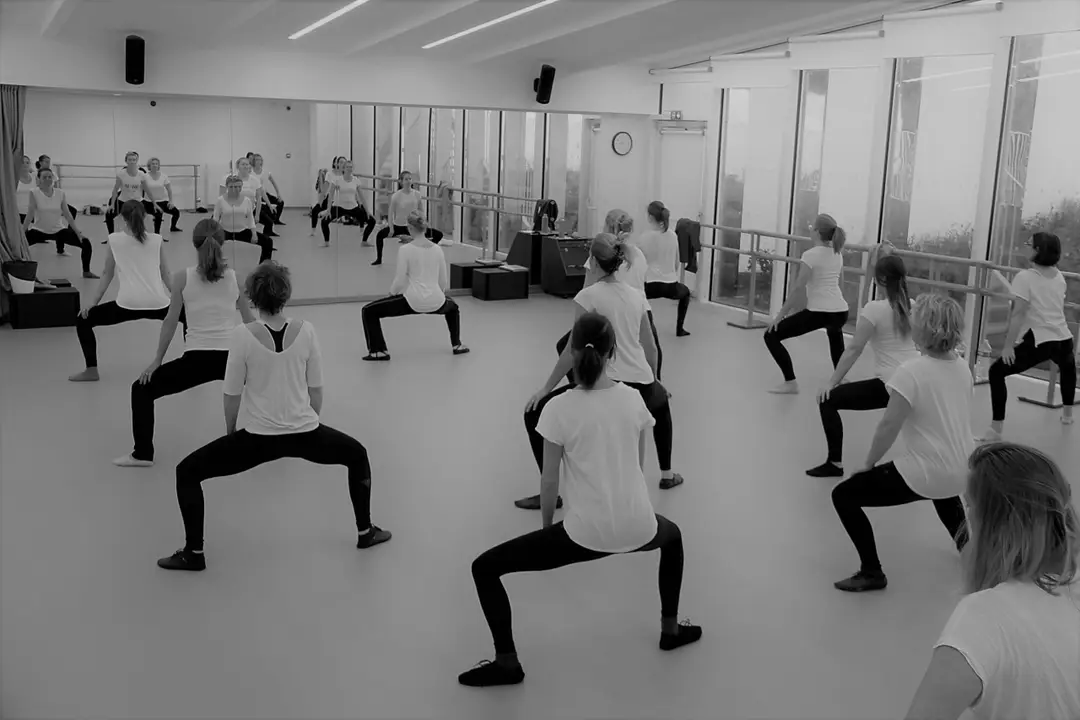 Ainsi Danse