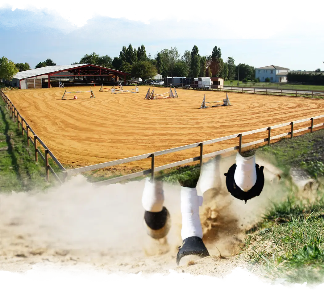 Equestrian Center De L'etang