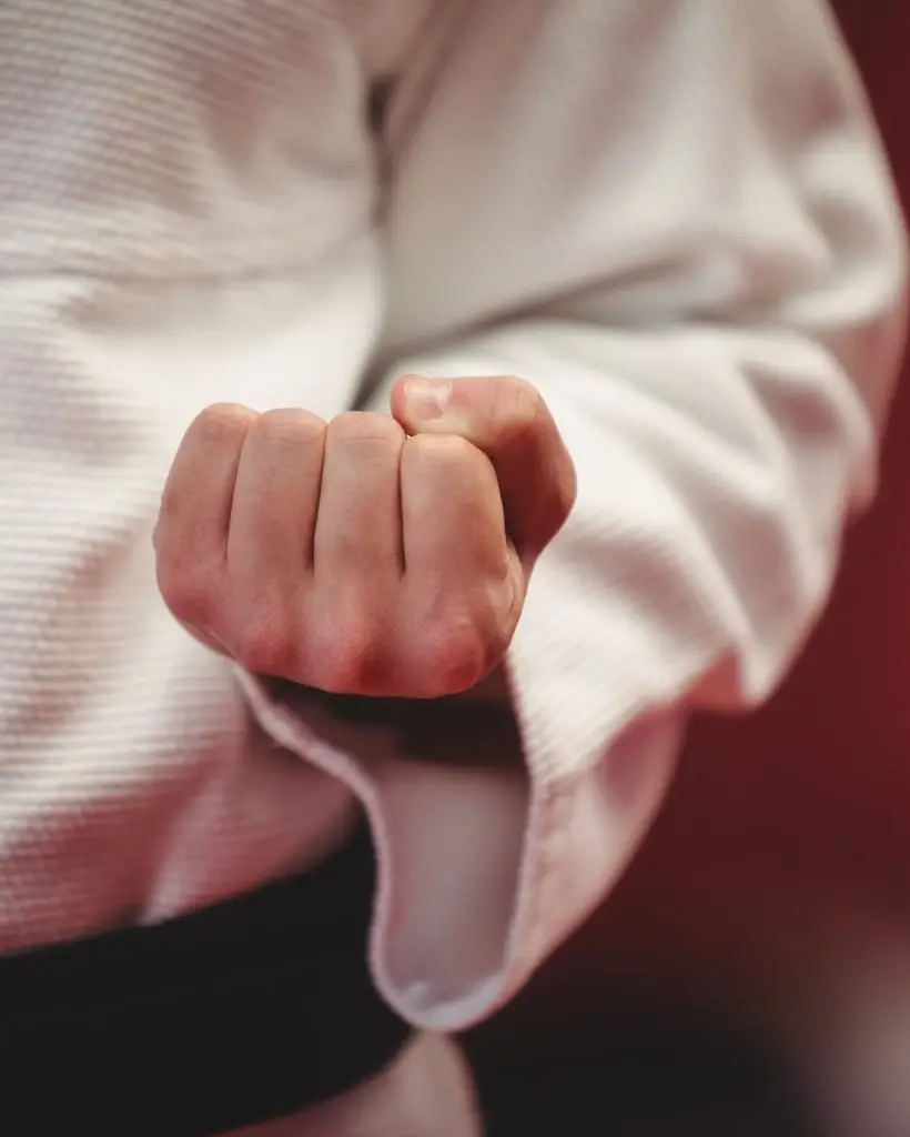 Kenagi Academy of Martial Arts
