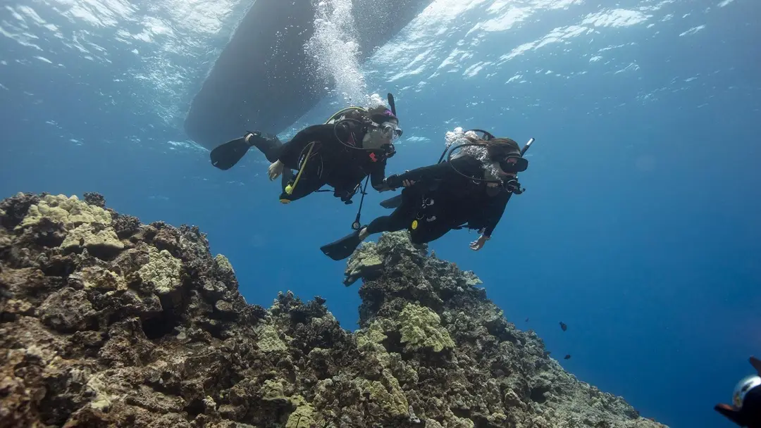 PADI Canada