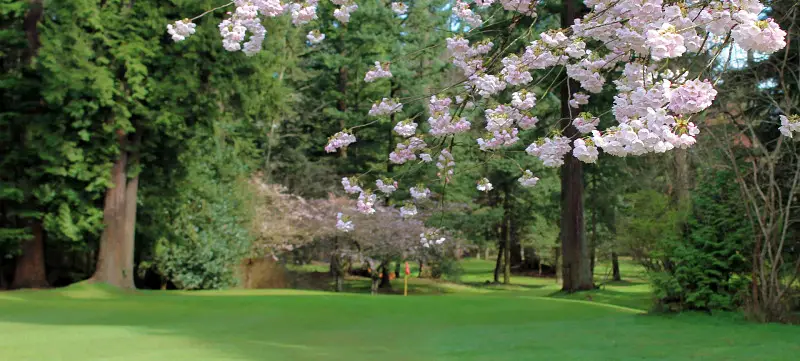 Central Park Pitch & Putt