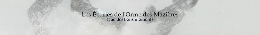 Les Ecuries De L'orme Des Mazières