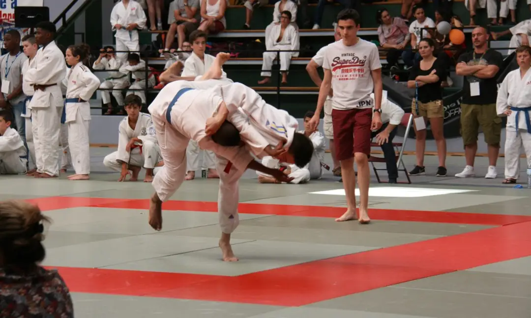 Judo D.a Montesson