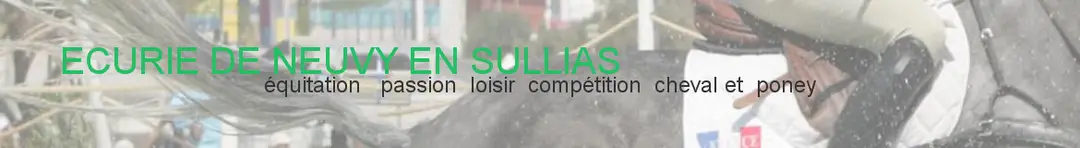 ECURIE DE NEUVY EN SULLIAS