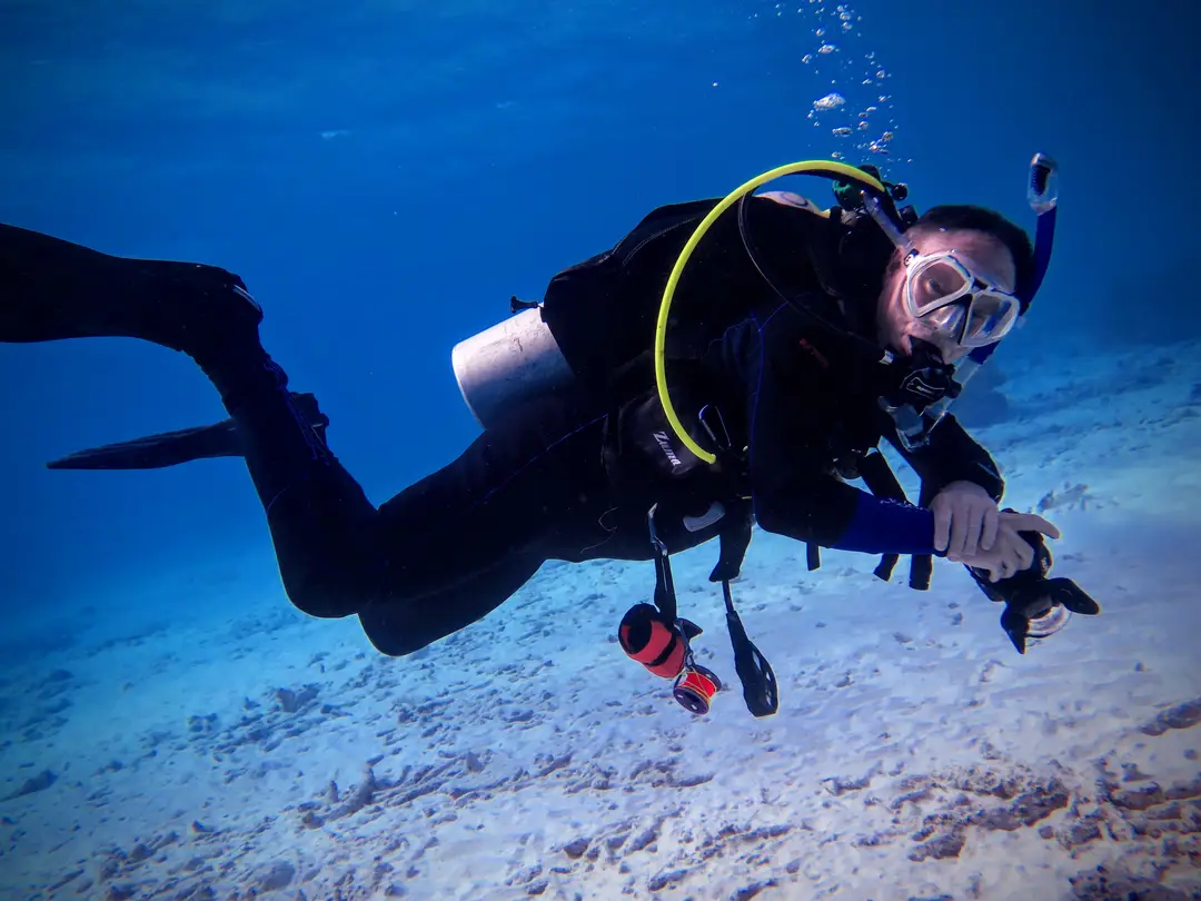 The Dive Shop