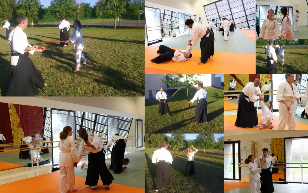 Aikido Traditional De La Cotiere