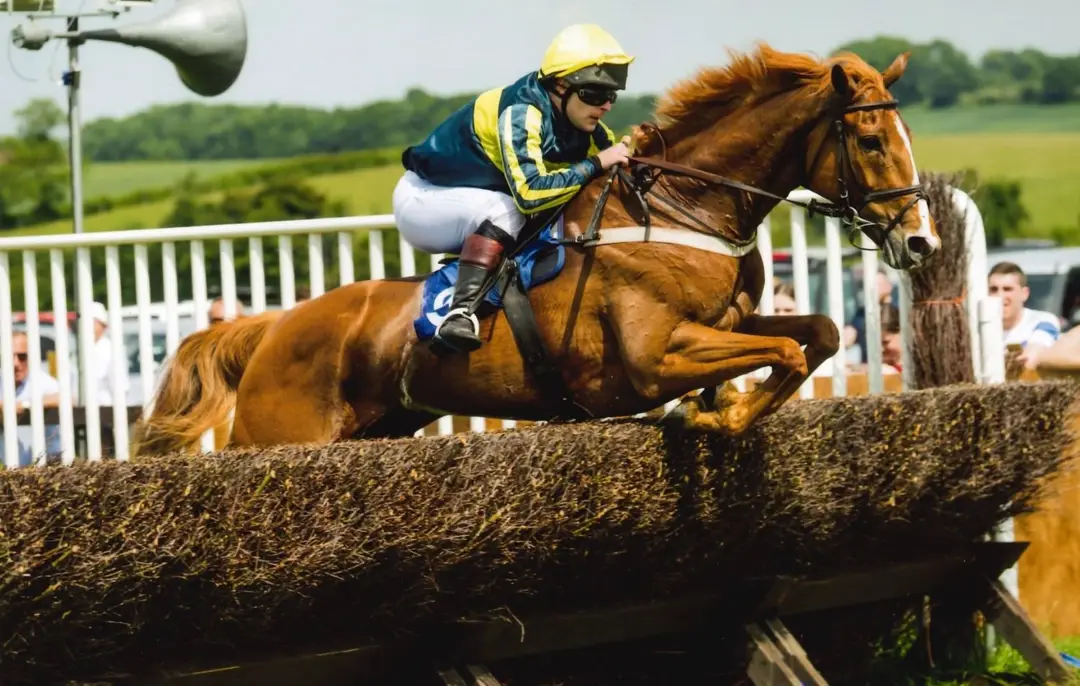 saxelbyemanorstud
