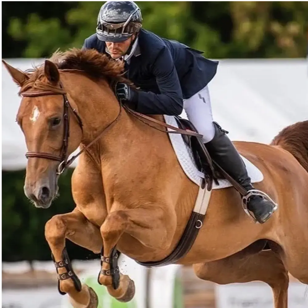 Butler Show Horses