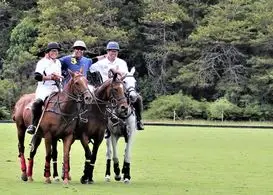Auckland Polo Club Inc