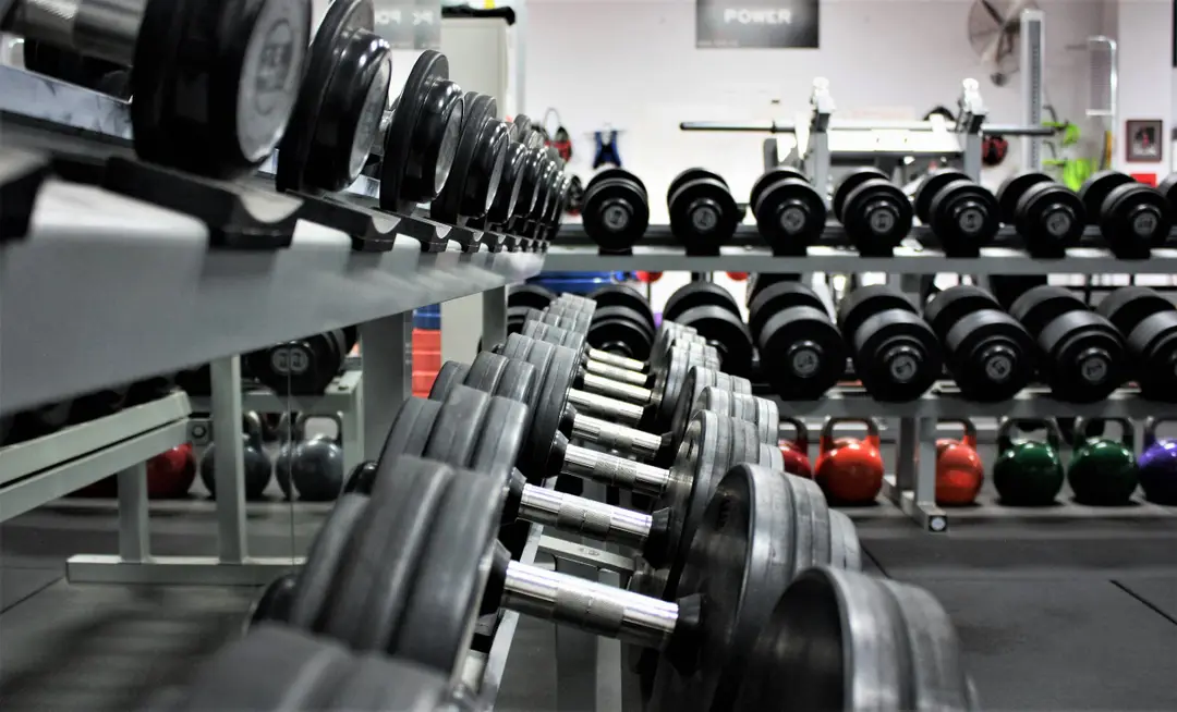 Mace Fitness