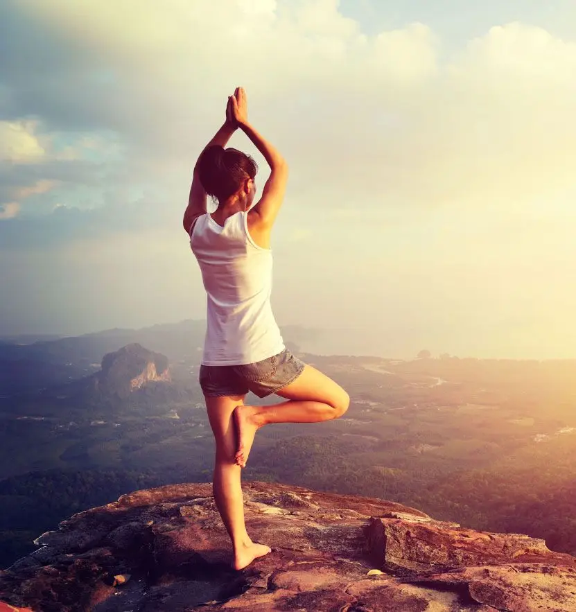 The Yoga Lounge