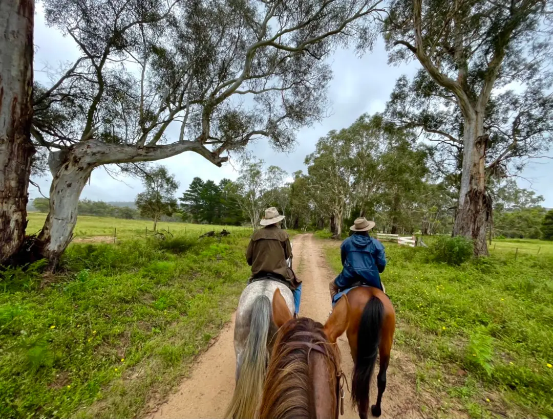Tempo Horsemanship