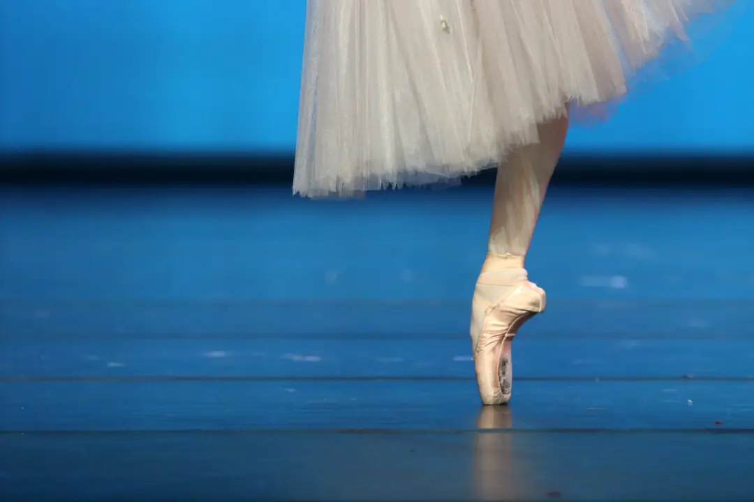 Terpsichore Studio for Dance