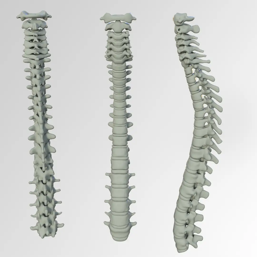 SpineX Clinic, Physiotherapy Center & Pain Management Clinic