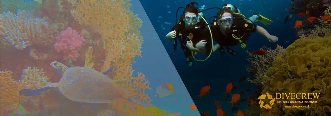Divecrew