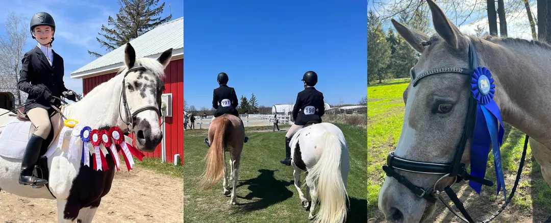 Riverview Stables