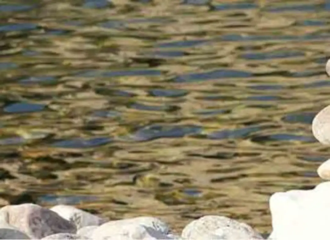 Qigong Sydney | Free Classes