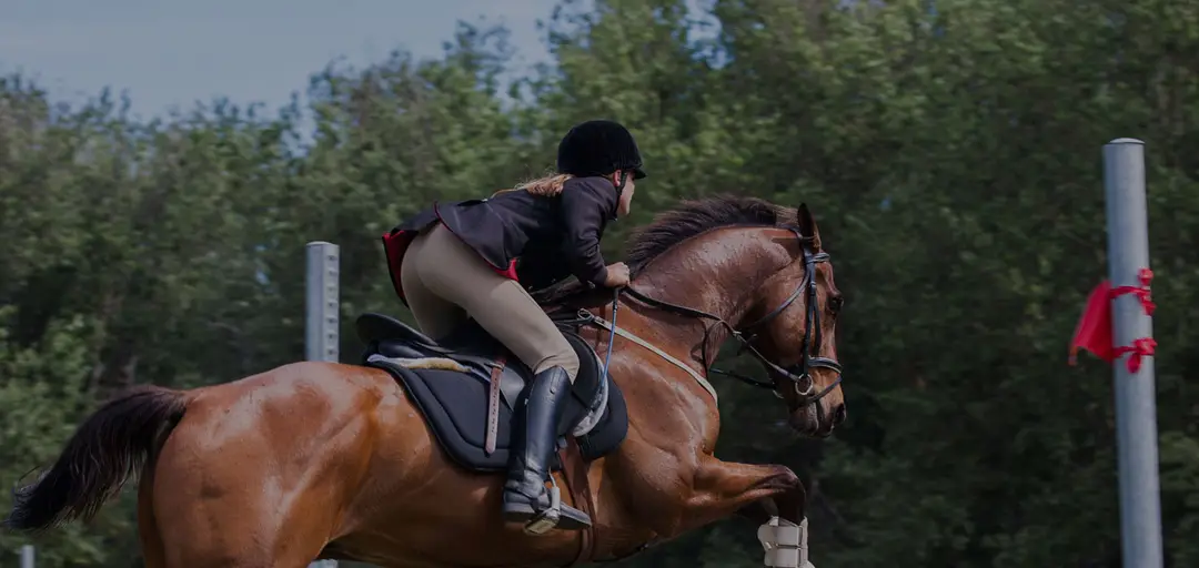 Paloma Equestrian Centre