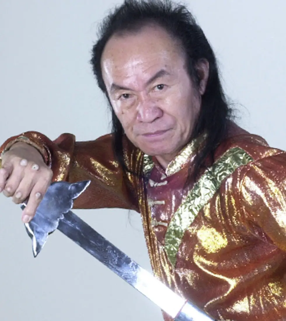 Iron & Silk Kung Fu