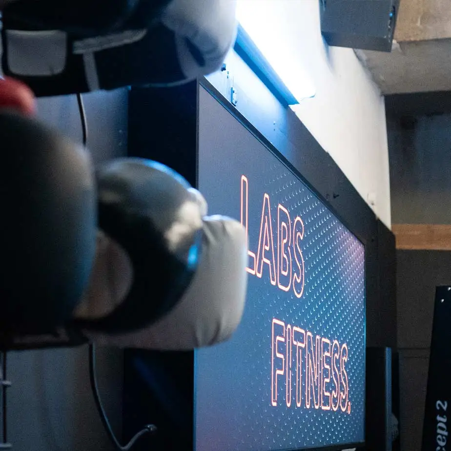 Labs Fitness