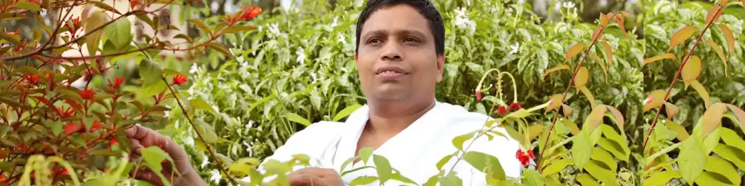 Divya Yoga Centre