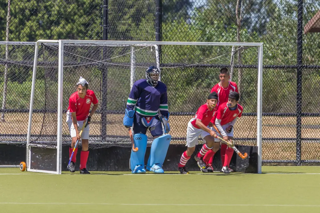 Panthers field hockey club