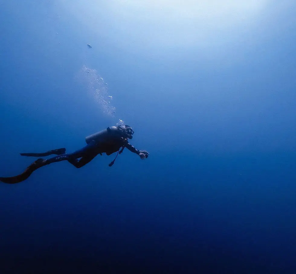 Performance Diver