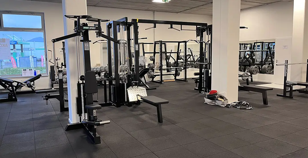 Danies gym
