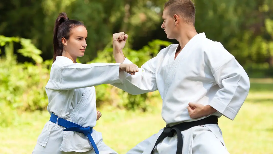 Saroughi International Taekwon-do Inc