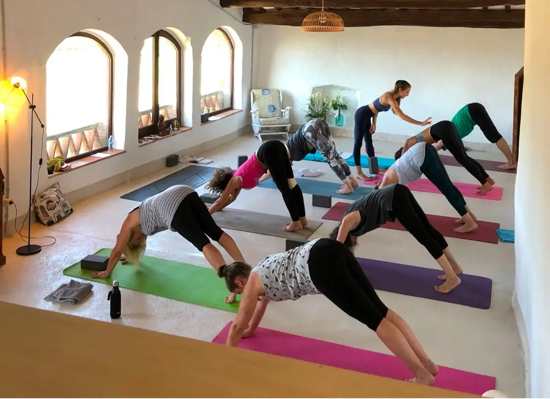 Yoga Seed