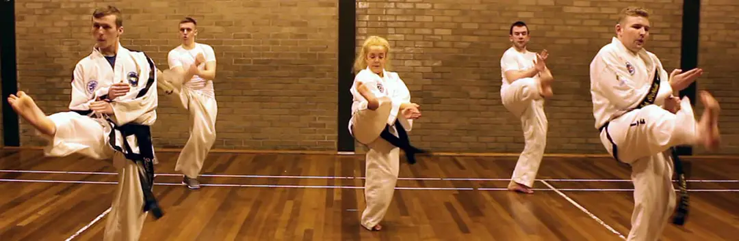 Cameron Taekwondo Giffnock