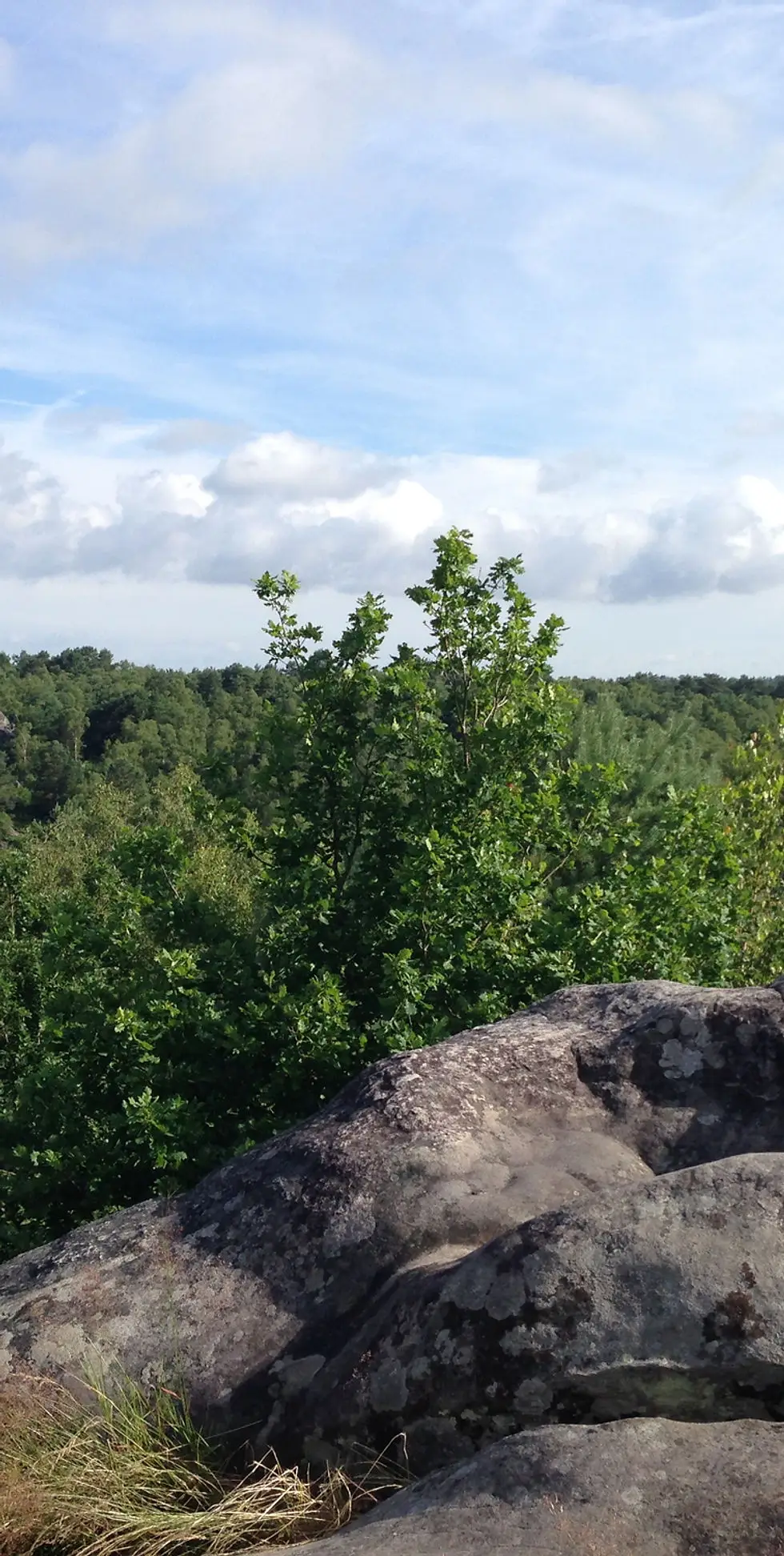 Climbfontainebleau