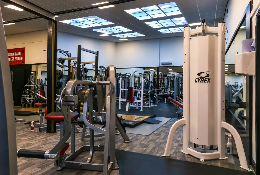 Physique Fitness