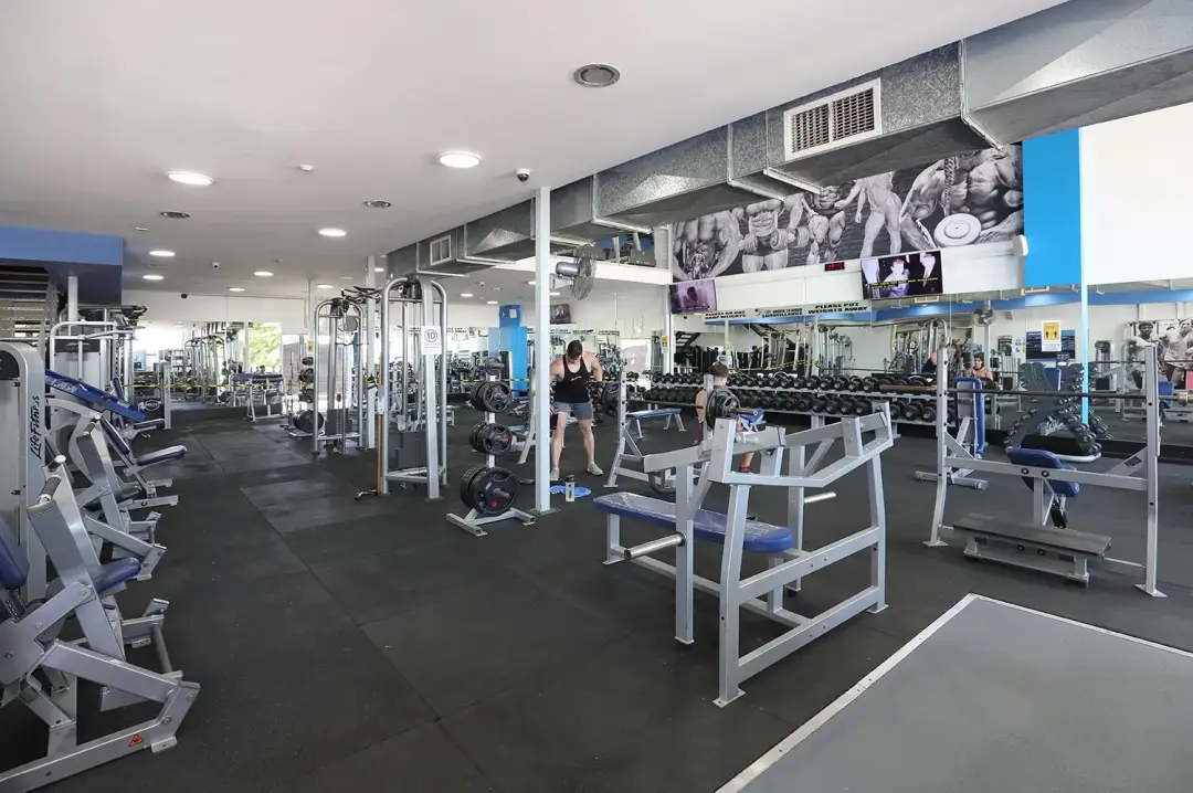 Hi Life Fitness