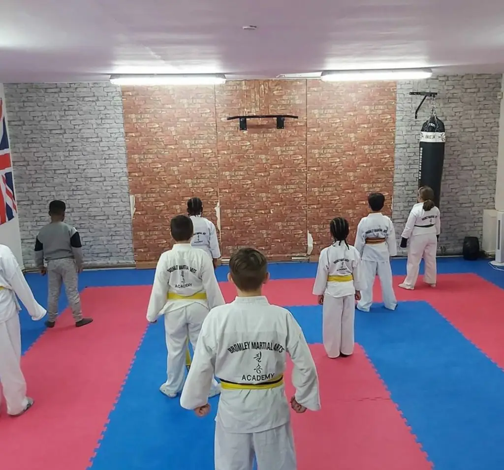 Bromley Martial Arts Academy