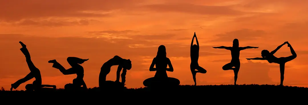 VY Yoga & Dance by Natural Yoga Classes