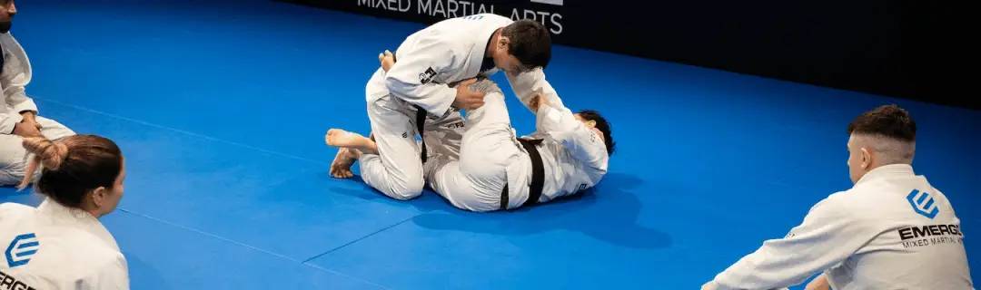 Emerge Martial Arts Academy | Fitness