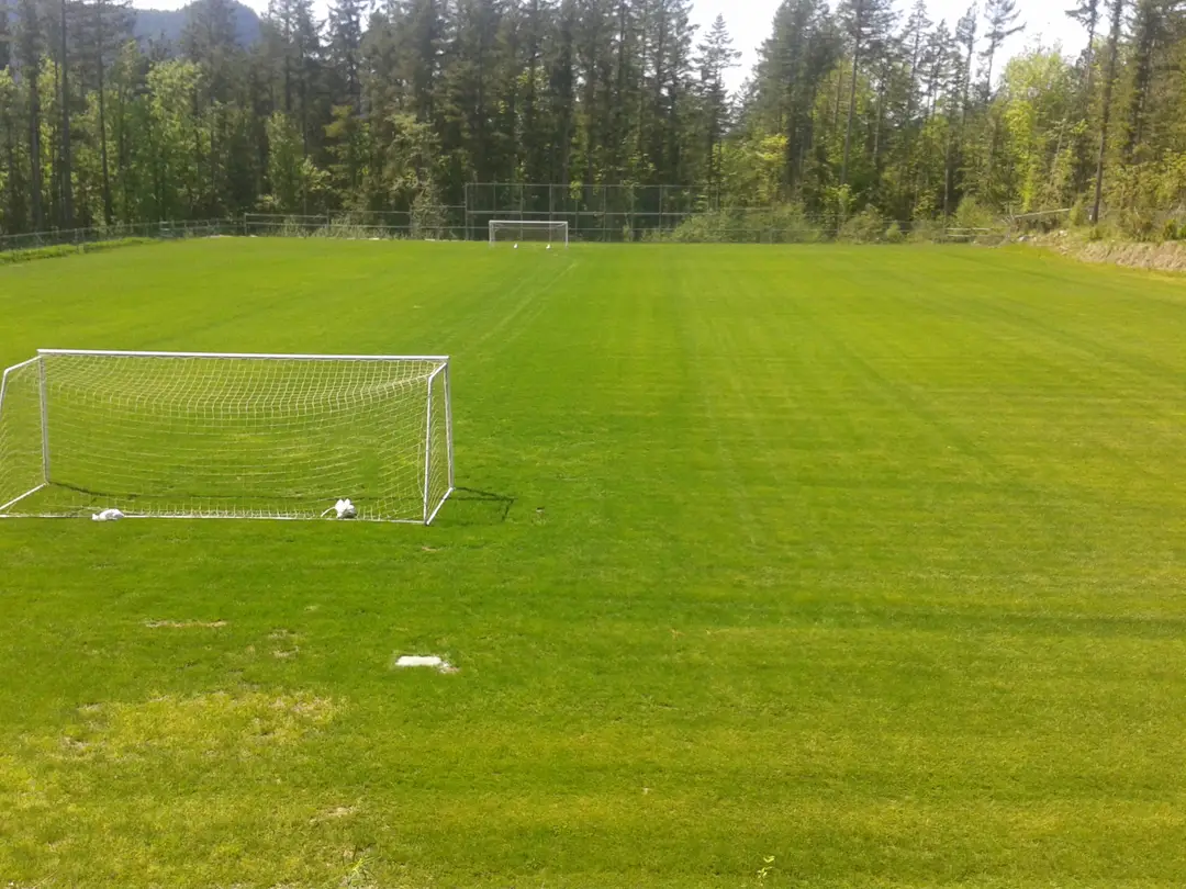 Lions Field