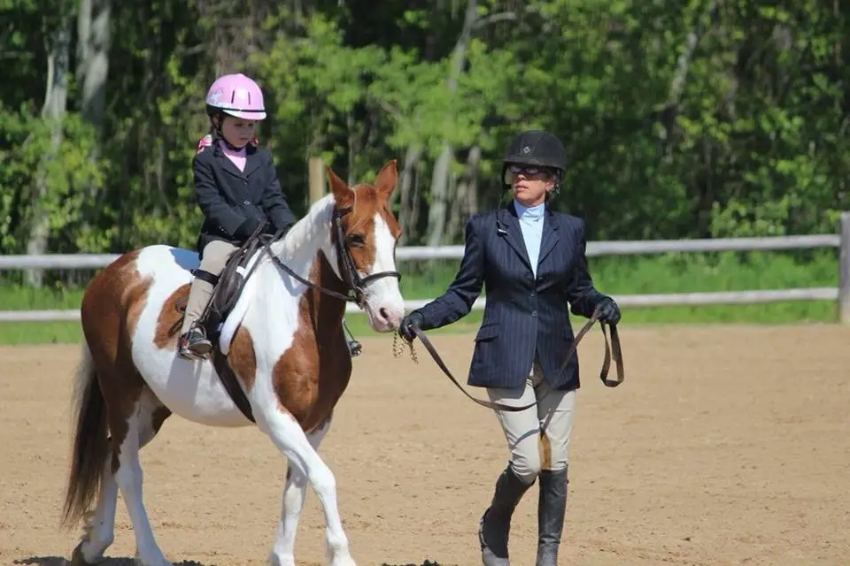 SJD Equestrian