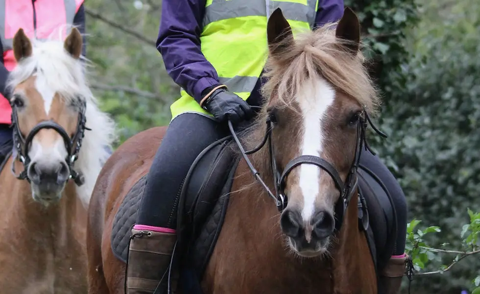 Belfairs Riding School
