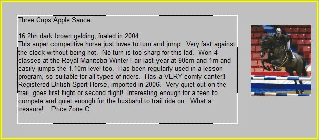 Misty River Ranch Inc