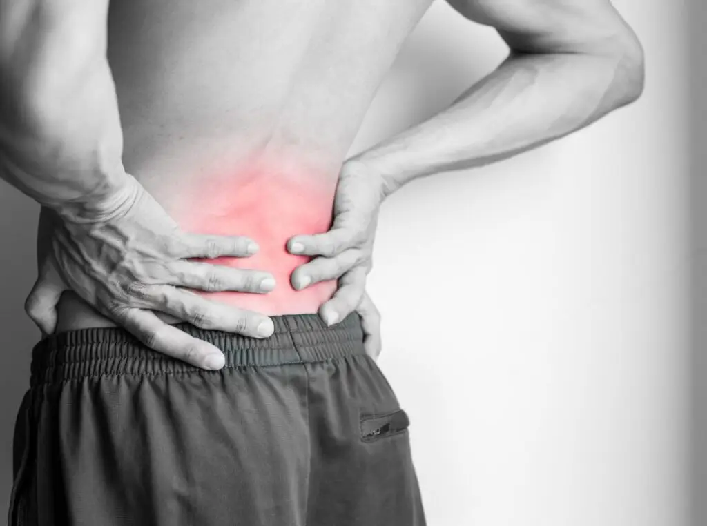Your Peak Potential - CHEK holistic corrective exercise