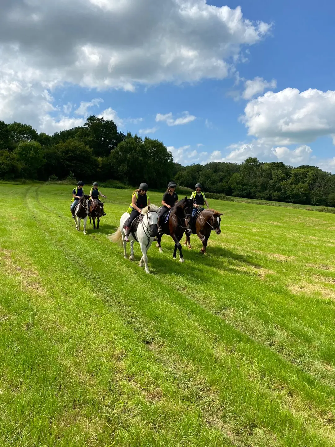 Sandford Stables (formerly Woodhouse Farm Riding Stables)
