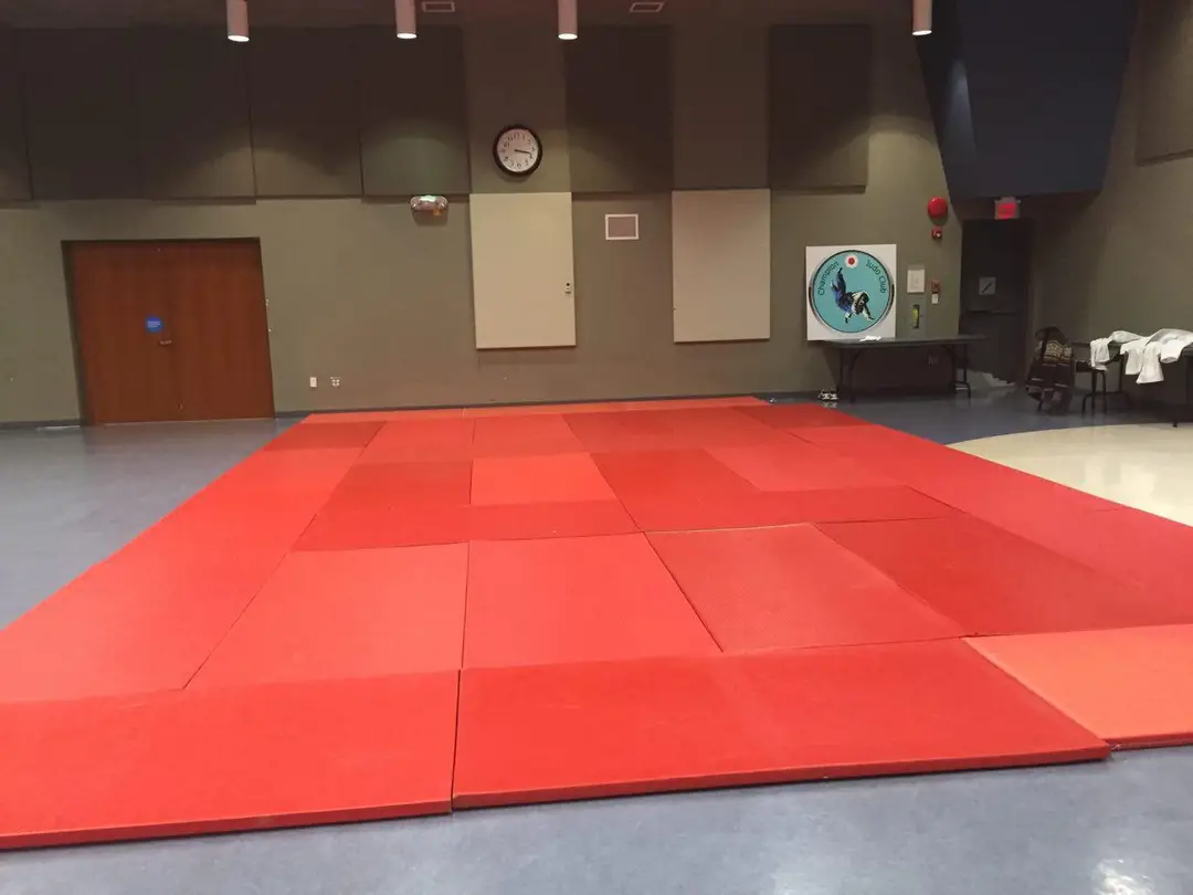 Champion judo club