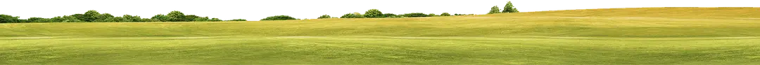Golfclub Soufflenheim Baden-Baden