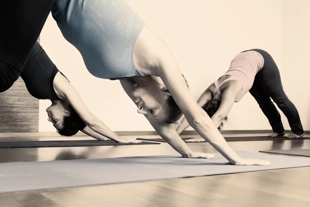 Academy Yoga