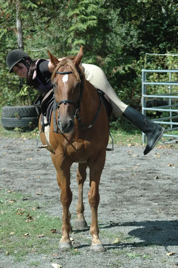 Woodside Riding School