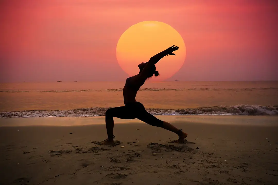 Lotus Yoga Goa