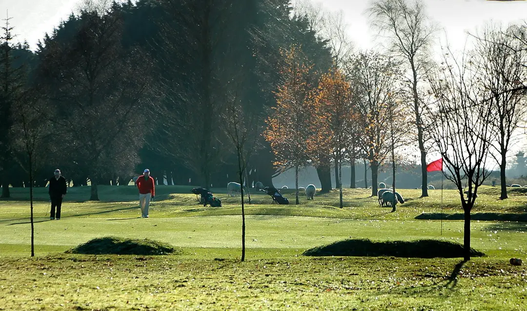 Cill Dara Golf Club