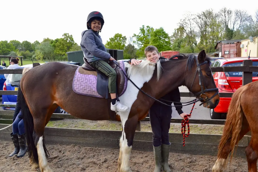 The Stables Horse Activity Centre
